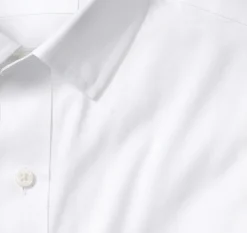 Premium Cotton Shirts